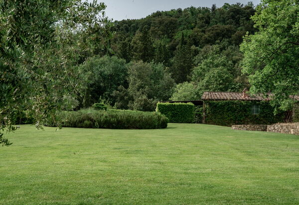 Il Prato Vignamaggio Private Pool, Nature, Greve In Chianti