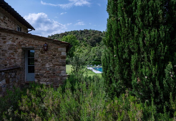 Il Prato Vignamaggio Private Pool, Nature, Greve In Chianti