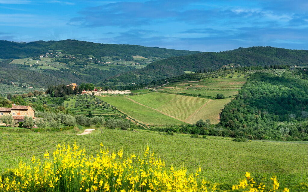 Il Prato Vignamaggio Private Pool, Nature, Greve In Chianti: Autumn, Scenic View, Spring, Summer