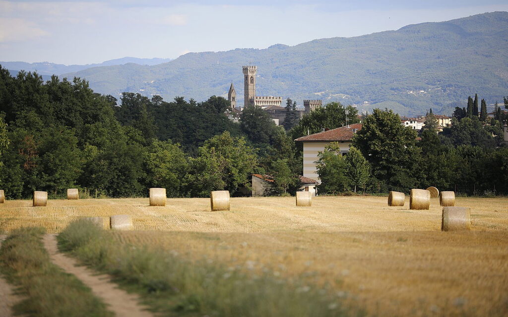 Villa Agata: Outdoor