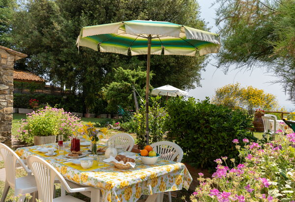 Casa Ceneruzzi: all'aperto, Esterni, Giardino