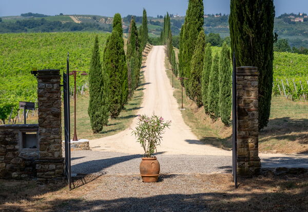Relais Badia a Passignano: Autunno, Estate, Esterni, Primavera