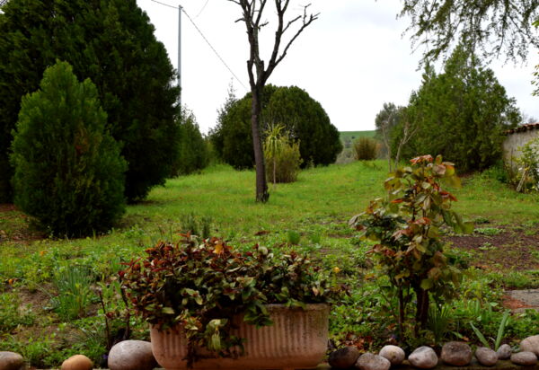 Casa Carletto, Abruzzo: Autunno, Estate, Esterni, Primavera
