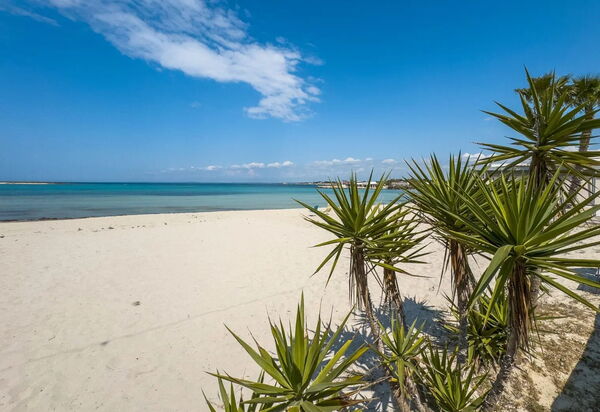 Casa Callisto, Ac, Vicino Al Mare: Autunno, Estate, Esterni, Primavera