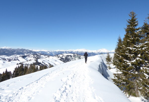 Design Loft, Romantic Retreat, Feltre: Activities, Autumn, Outdoor, Spring, Summer