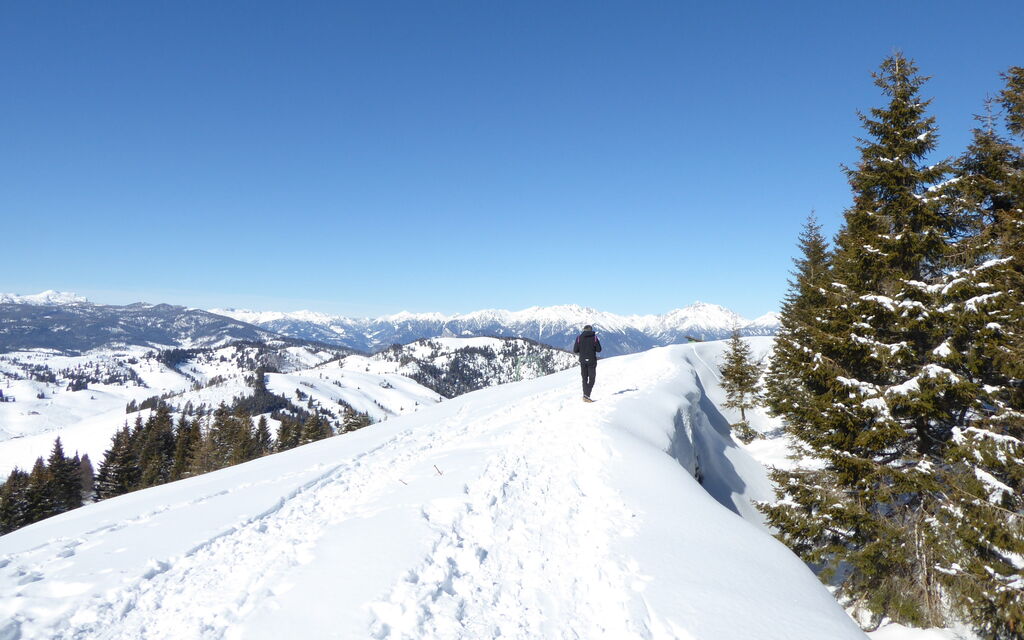 Design Loft, Romantic Retreat, Feltre: all'aperto, Attività, Autunno, Estate, Primavera