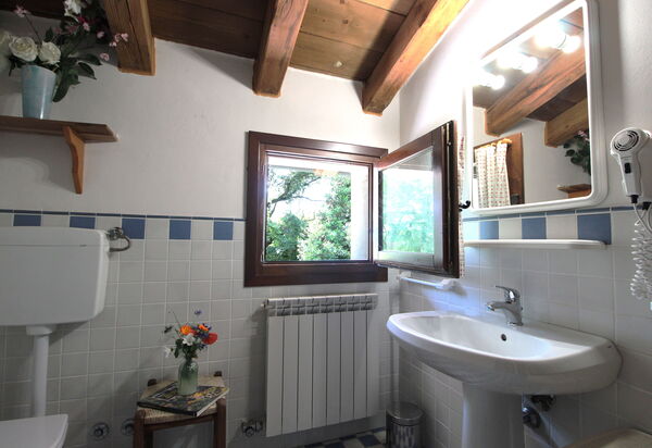 Venice Photobirding, Nature And Culture: Autumn, Bathroom, Spring, Summer