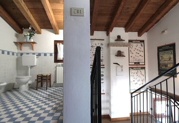 Venice Photobirding, Nature And Culture: Autumn, Bathroom, Spring, Summer