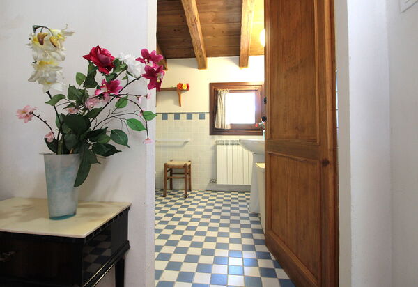 Venice Photobirding, Nature And Culture: Autumn, Room Detail, Spring, Summer