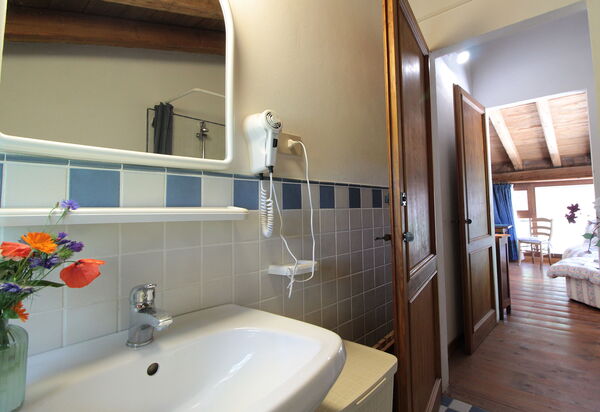 Venice Photobirding, Nature And Culture: Autumn, Bathroom, Spring, Summer