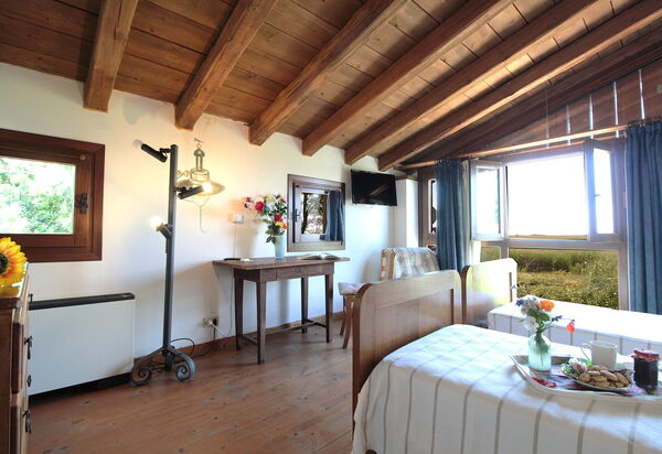 Venice Photobirding, Nature And Culture: Autumn, Bedroom, Spring, Summer