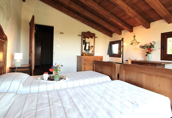 Venice Photobirding, Nature And Culture: Autumn, Bedroom, Spring, Summer