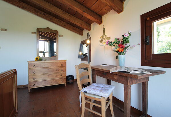 Venice Photobirding, Nature And Culture: Autumn, Room Detail, Spring, Summer