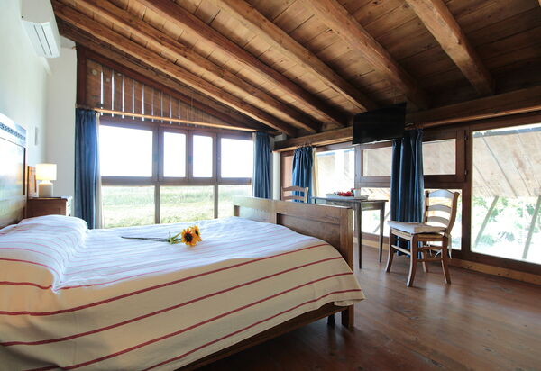 Venice Photobirding, Nature And Culture: Autumn, Bedroom, Spring, Summer