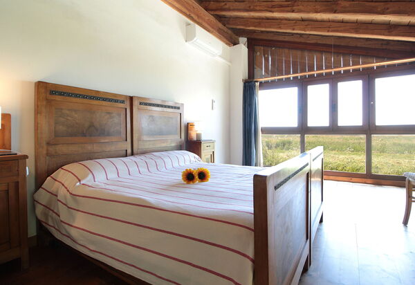 Venice Photobirding, Nature And Culture: Autumn, Bedroom, Spring, Summer