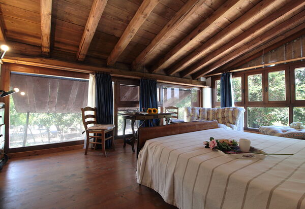 Venice Photobirding, Nature And Culture: Autumn, Bedroom, Spring, Summer