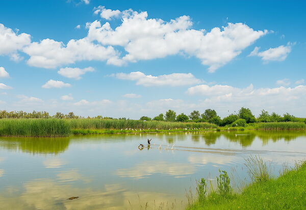 Venice Photobirding, Nature And Culture: Autumn, Building Exterior, Spring, Summer