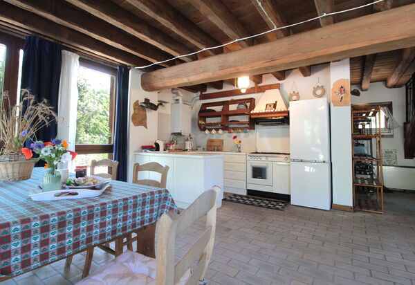 Venice Photobirding, Nature And Culture: Autumn, Kitchen, Spring, Summer