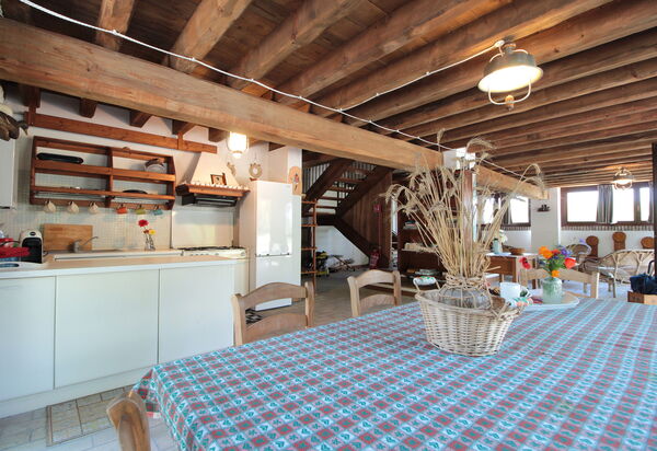 Venice Photobirding, Nature And Culture: Autumn, Kitchen, Spring, Summer