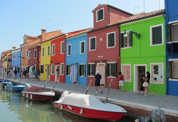 Venice Photobirding, Nature And Culture: Activities, Autumn, Spring, Summer