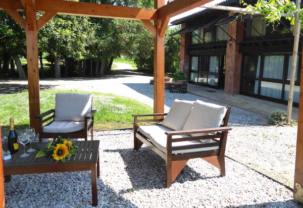 Venice Photobirding, Nature And Culture: Autumn, Garden, Spring, Summer