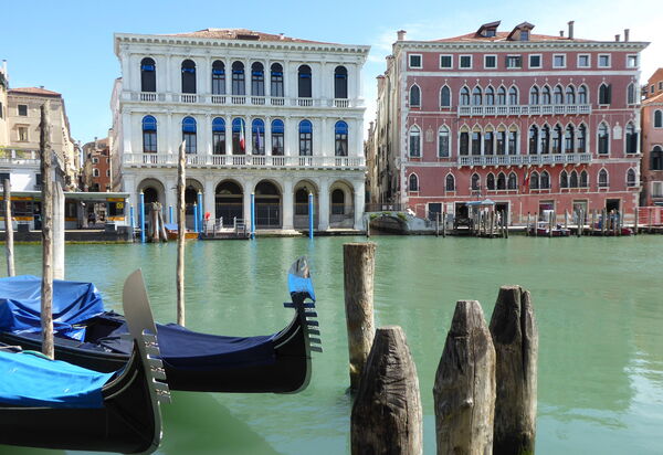 Venice Photobirding, Nature And Culture: Activities, Autumn, Outdoor, Spring, Summer