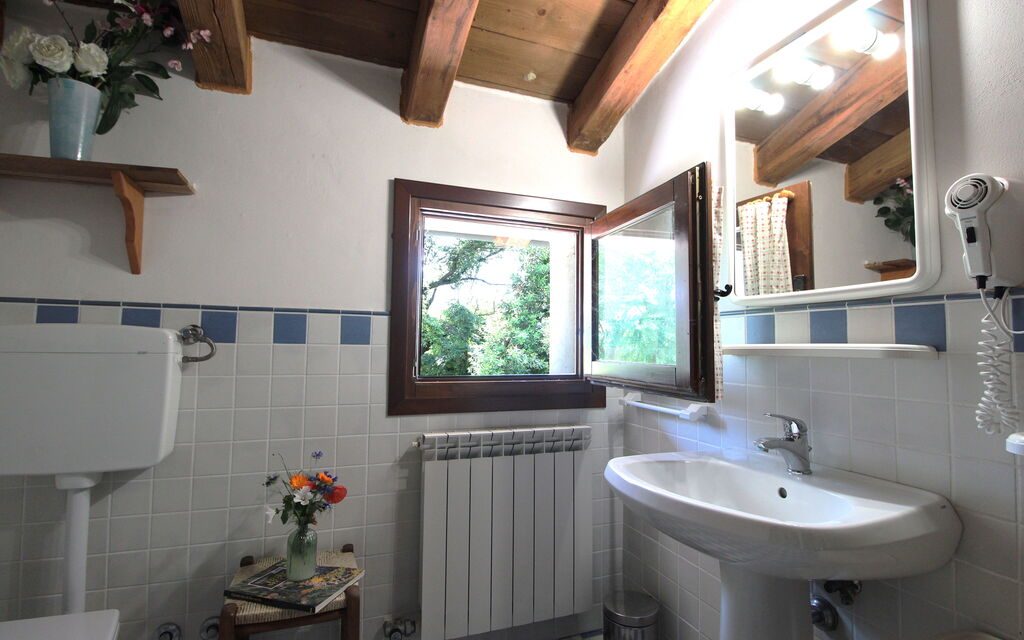 Venice Photobirding, Nature And Culture: Autumn, Bathroom, Spring, Summer