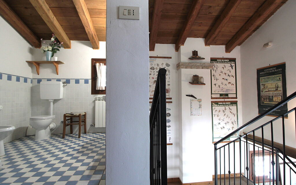 Venice Photobirding, Nature And Culture: Autumn, Bathroom, Spring, Summer