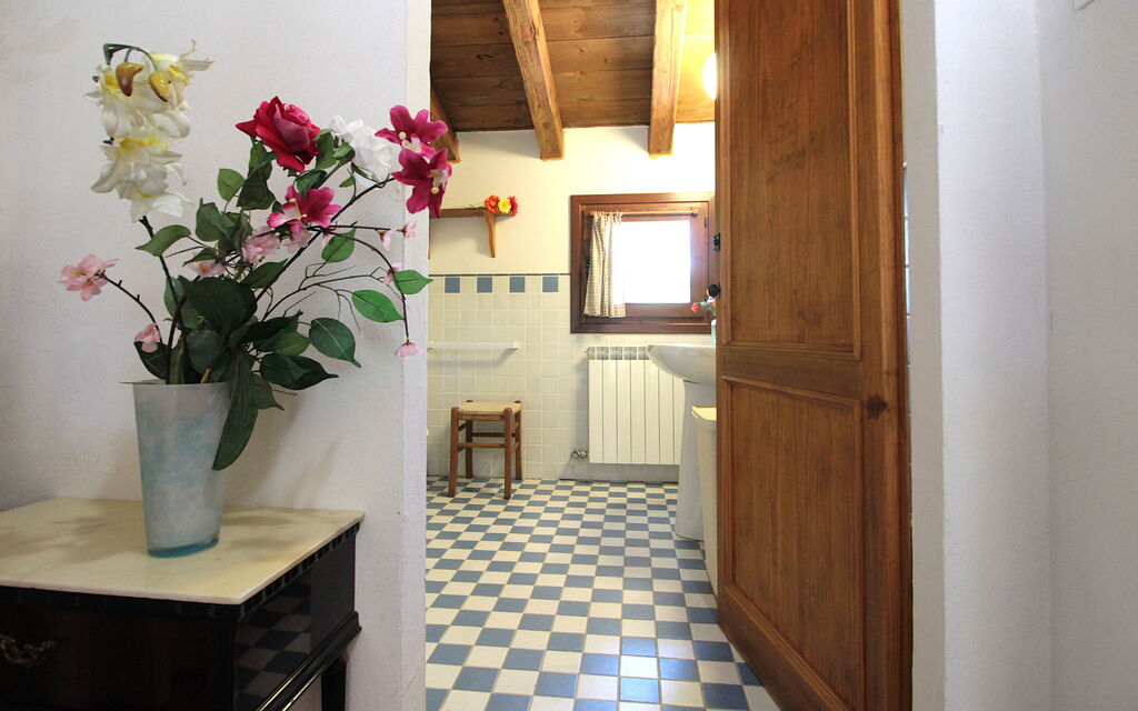 Venice Photobirding, Nature And Culture: Autumn, Room Detail, Spring, Summer