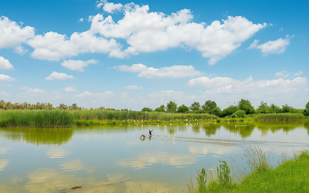 Venice Photobirding, Nature And Culture: Autumn, Building Exterior, Spring, Summer