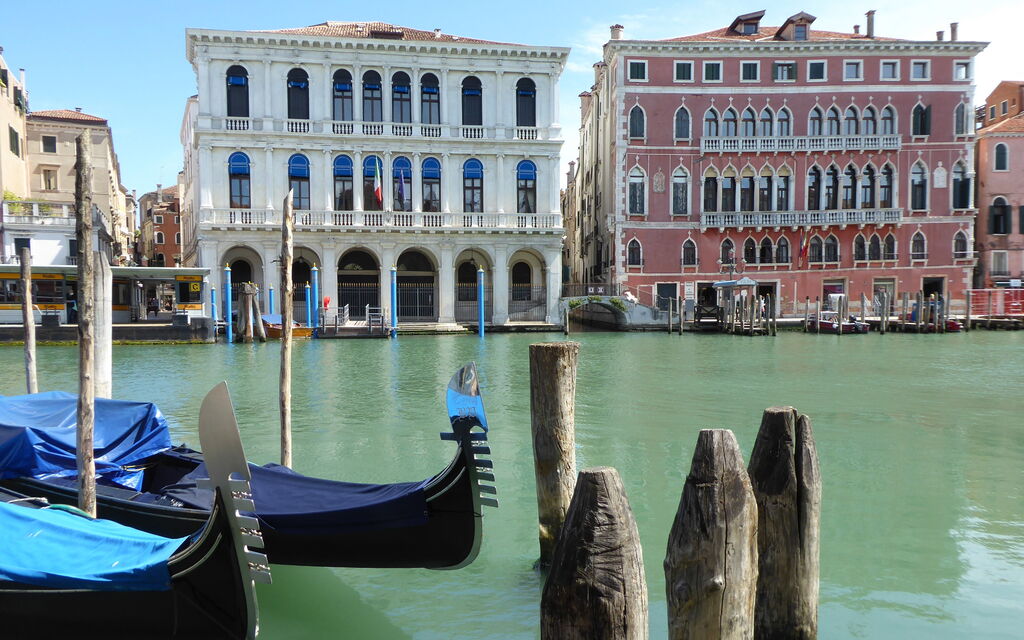 Venice Photobirding, Nature And Culture: Activities, Autumn, Outdoor, Spring, Summer