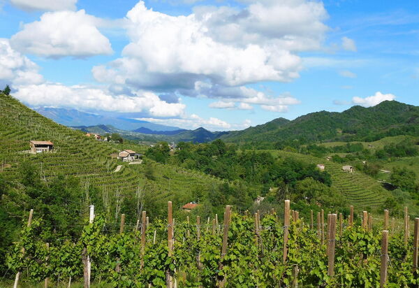 Casa Ballo delle Streghe, Garden, Montebelluna: Activities, Autumn, Building Exterior, Spring, Summer