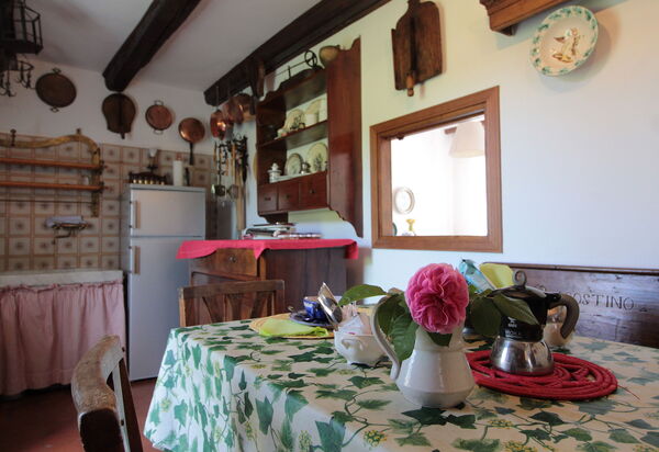 Casa Ballo delle Streghe, Garden, Montebelluna: Autumn, Kitchen, Spring, Winter