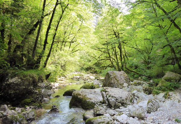Casa Ballo delle Streghe, Garden, Montebelluna: Activities, Autumn, Building Exterior, Spring, Summer