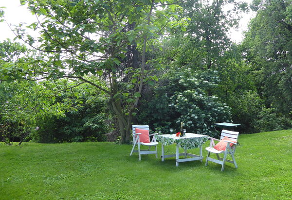 Casa Ballo delle Streghe, Garden, Montebelluna: Autumn, Garden, Spring, Summer