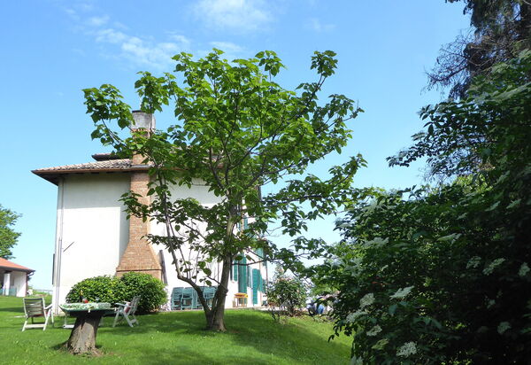 Casa Ballo delle Streghe, Garden, Montebelluna: Autumn, Building Exterior, Garden, Spring, Summer