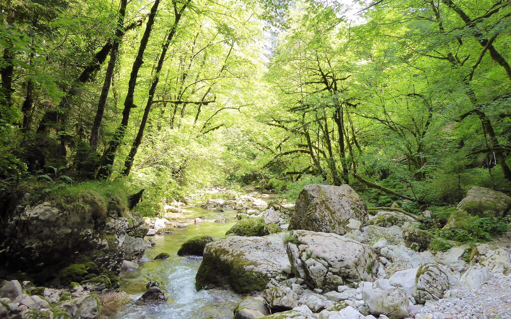 Casa Ballo delle Streghe, Garden, Montebelluna: Attività, Autunno, Estate, Esterni, Primavera