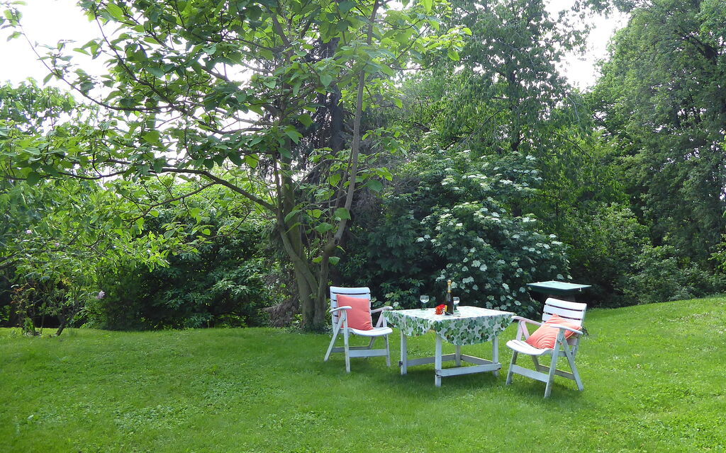 Casa Ballo delle Streghe, Garden, Montebelluna: Autunno, Estate, Giardino, Primavera