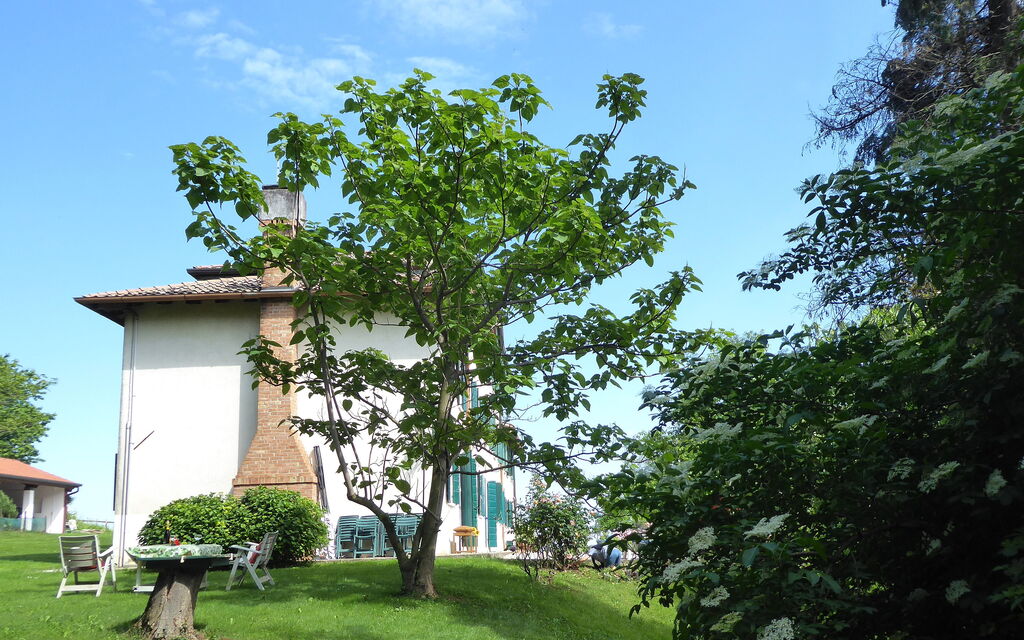 Casa Ballo delle Streghe, Garden, Montebelluna: Autunno, Estate, Esterni, Giardino, Primavera