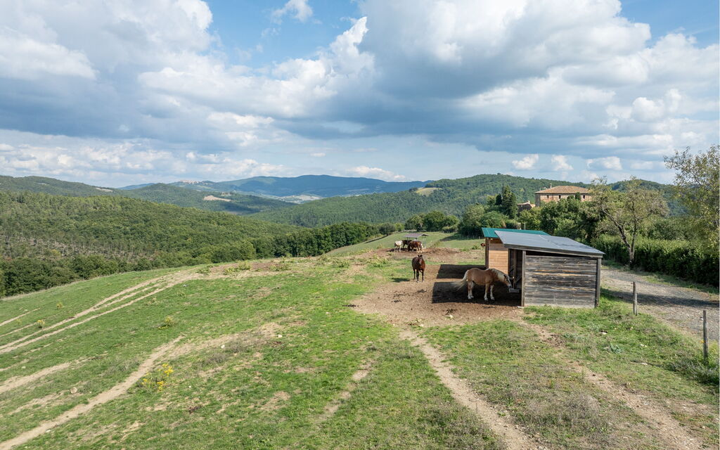 Villa Airone Tegoni, Pool, Radicondoli: all'aperto, Attività, Autunno, Estate, Primavera