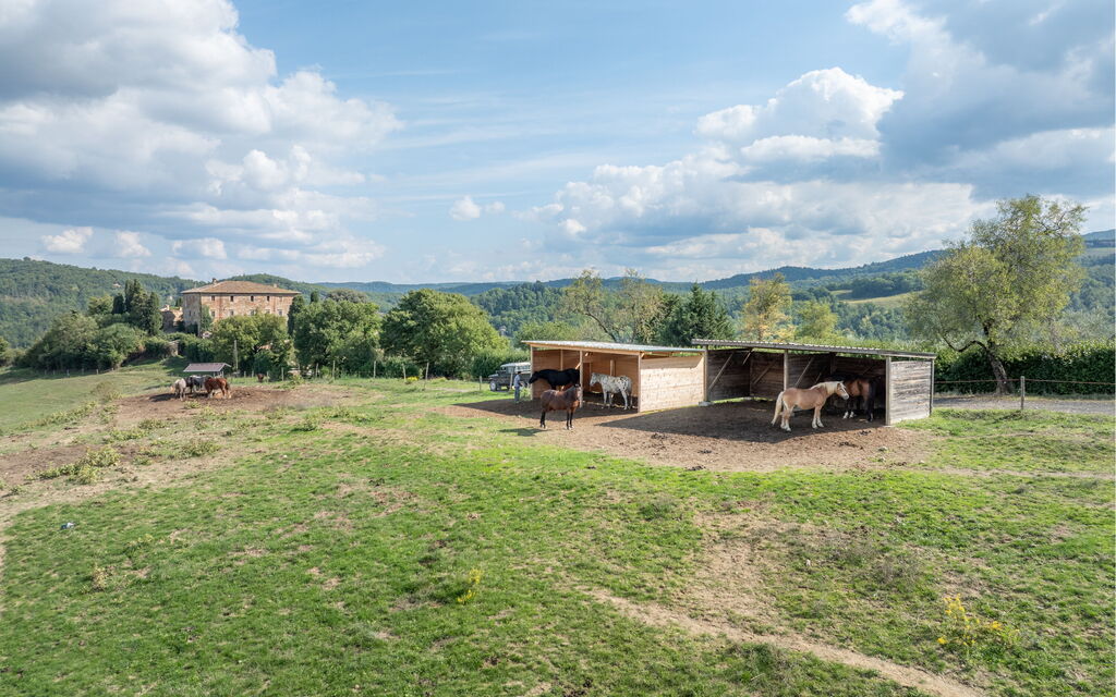 Villa Airone Tegoni, Pool, Radicondoli: all'aperto, Attività, Autunno, Estate, Primavera