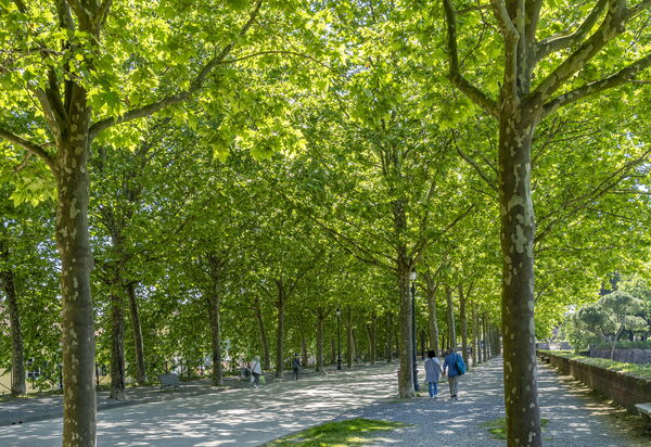 Casa Gioia In Lucca: all'aperto, Attività, Autunno, Estate, Primavera