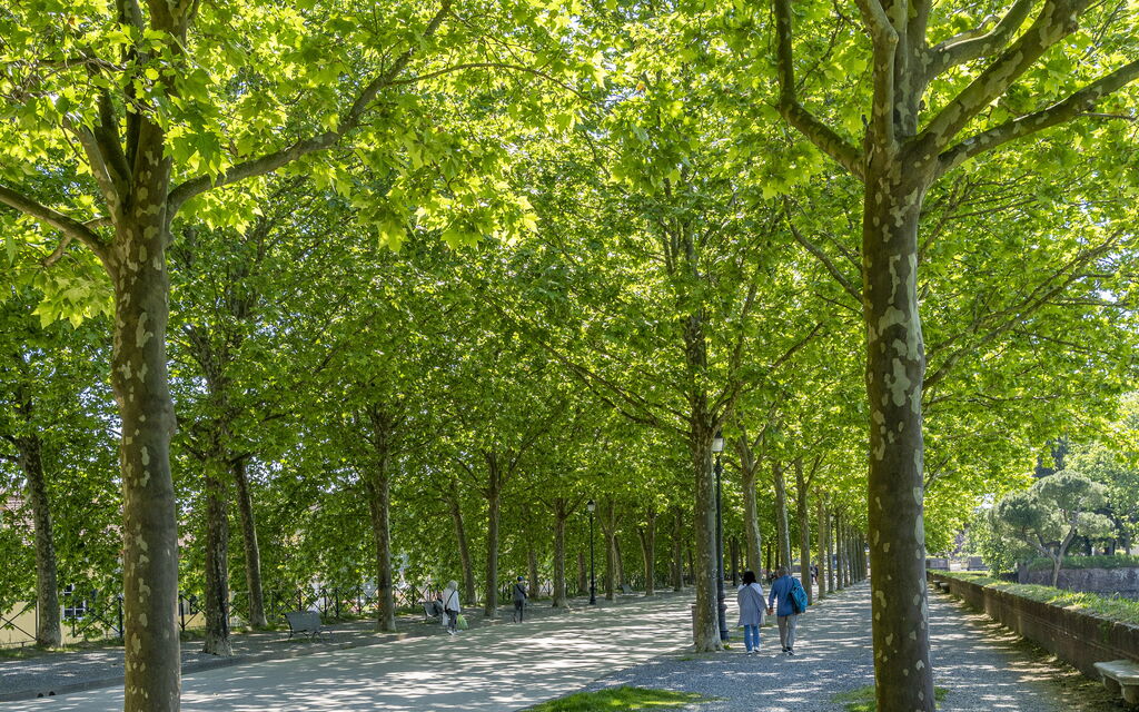 Casa Gioia In Lucca: all'aperto, Attività, Autunno, Estate, Primavera