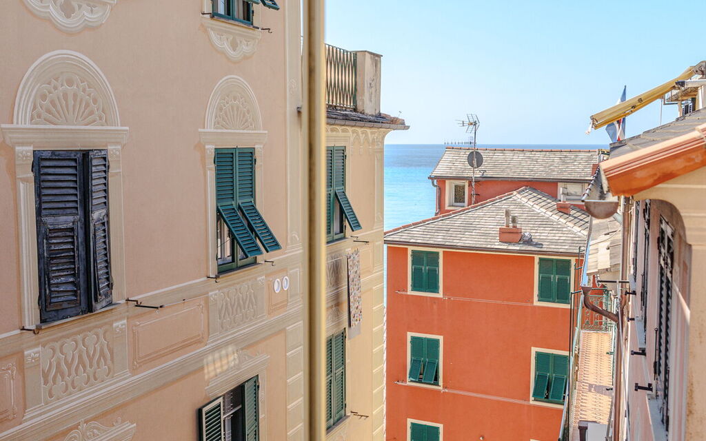 Newly Renovated Ocean View Flat: Autumn, Balcony / Terrace / Patio, Spring, Summer