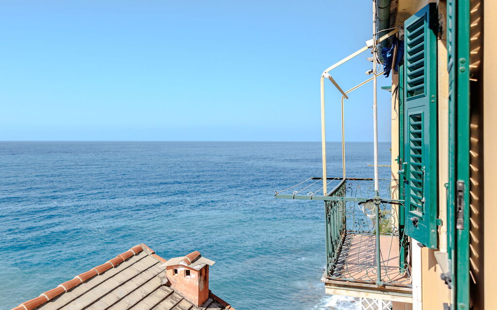 Newly Renovated Ocean View Flat: Autumn, Balcony / Terrace / Patio, Spring, Summer