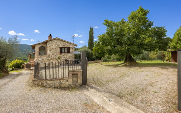 Oliveto Del Cantarello: Autunno, Estate, Giardino, Primavera
