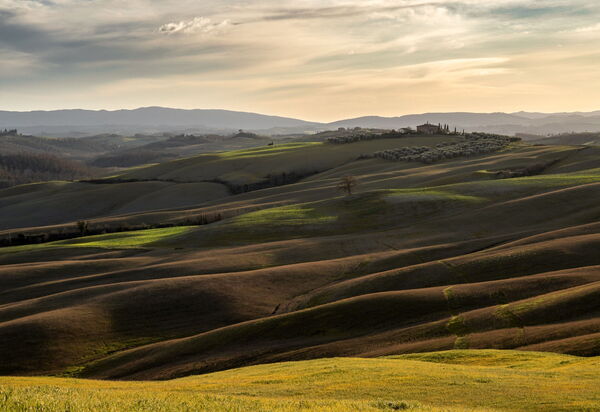 Oliveto del Cantarello: Activities, Autumn, Outdoor, Spring, Summer