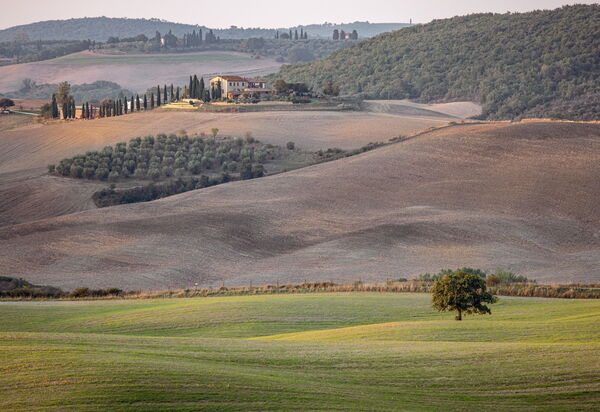 Oliveto del Cantarello: Activities, Autumn, Outdoor, Spring, Summer