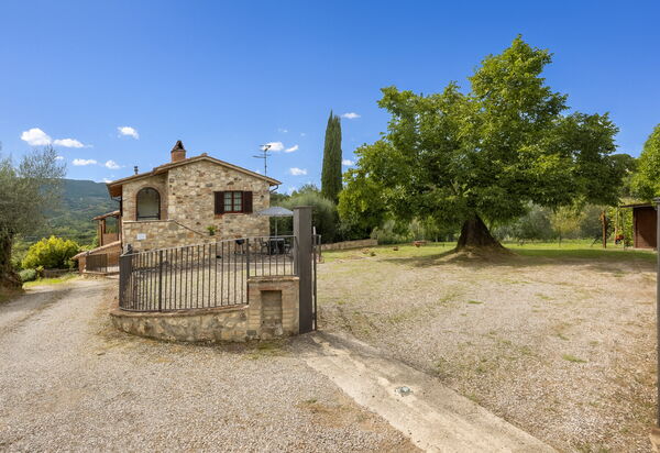Oliveto Del Cantarello: Autunno, Estate, Giardino, Primavera