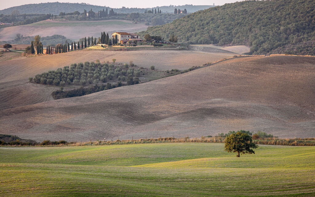 Oliveto del Cantarello: Activities, Autumn, Outdoor, Spring, Summer